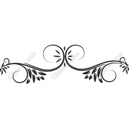 Elegant Decorative Flourish