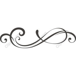 Elegant Swirl Flourish