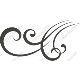 Elegant Decorative Swirl