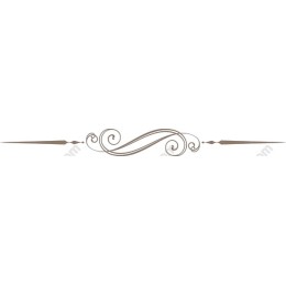 Elegant Decorative Flourish