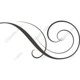 Elegant Swirl