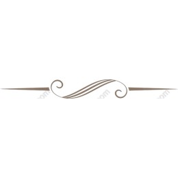 Elegant Decorative Border