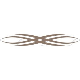 Ornate Decorative Flourish