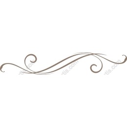 Elegant Swirl