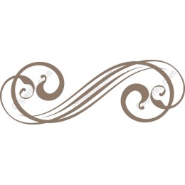 Elegant Swirl