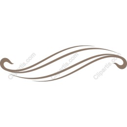 Elegant Decorative Swirl