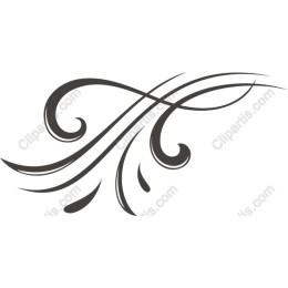 Elegant Ornamental Flourish