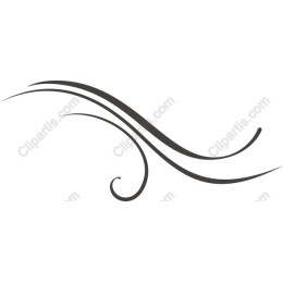 Elegant Decorative Swirl