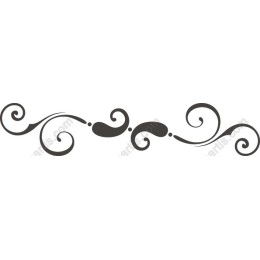 Elegant Swirl Flourish