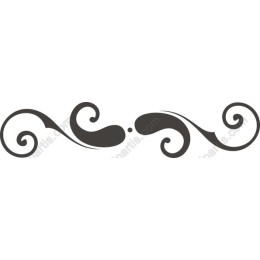 Elegant Swirl