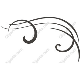 Elegant Swirl