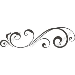 Elegant Swirl