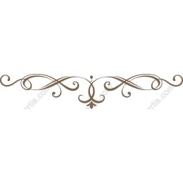 Elegant Decorative Flourish