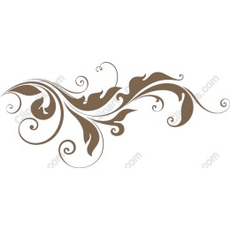 Floral Swirl