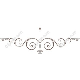 Elegant Ornate Border