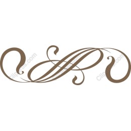 Elegant Decorative Monogram