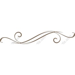Elegant Swirl