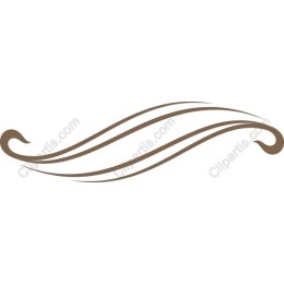 Elegant Flourish