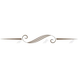 Elegant Floral Frame