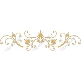 Elegant Floral