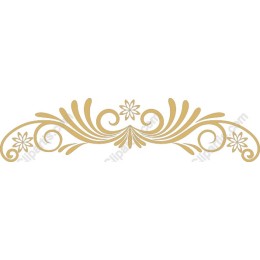 Elegant Ornamental Flourish