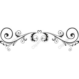 Elegant Decorative Flourish