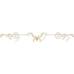 Elegant Ornate Flourish