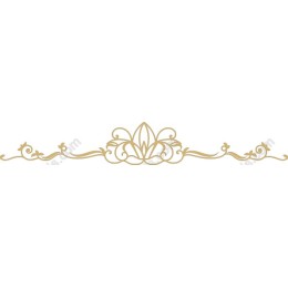 Elegant Decorative Border