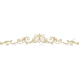 Elegant Ornamental Gold Frame