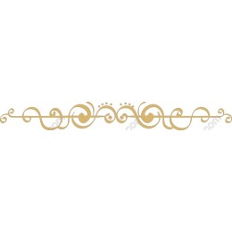 Elegant Ornamental Divider