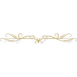 Elegant Floral Ornament