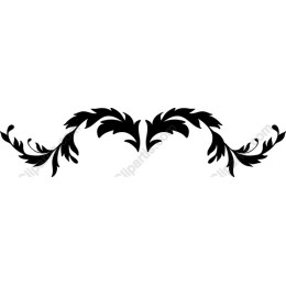 Elegant Floral Flourish in and