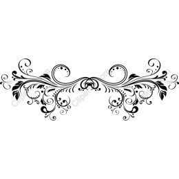Elegant Black Floral