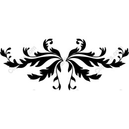 Elegant Black Floral