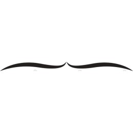 Elegant Stylized Mustache