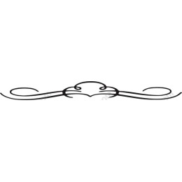 Elegant Decorative Flourish