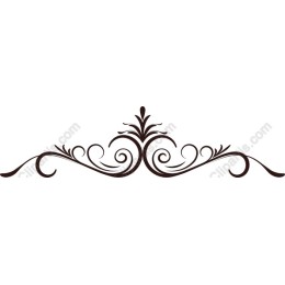 Elegant Ornate Swirl