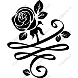Elegant Rose