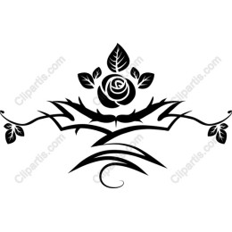 Elegant Rose and Thorn