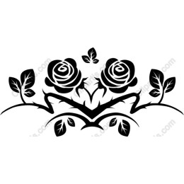 Elegant Black Rose