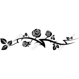 Black Rose Vine