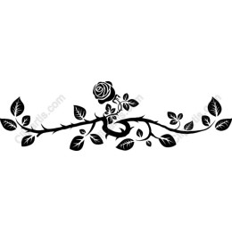 Black Rose Vine