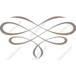 Elegant Swirl