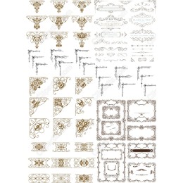 Elegant Calligraphic Bundle