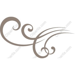 Elegant Swirl
