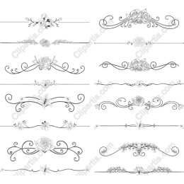 Floral Elegance Border Collection