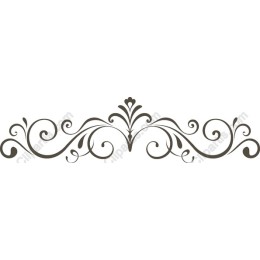 Elegant Decorative Border