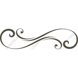 Elegant Swirl