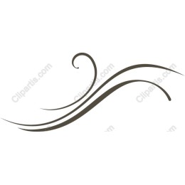 Elegant Flourish Swirl