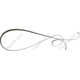 Elegant Decorative Flourish